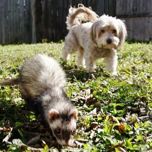 Meet your Posher, Meagan